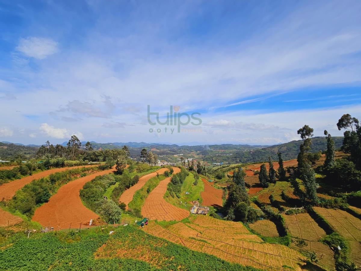 Tulips Village Resorts Ooty Buitenkant foto