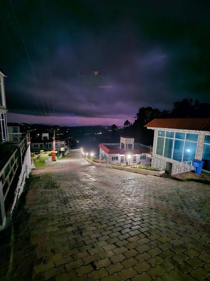 Tulips Village Resorts Ooty Buitenkant foto