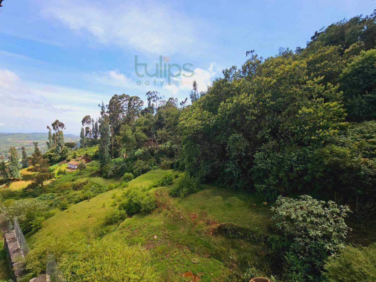 Tulips Village Resorts Ooty Buitenkant foto